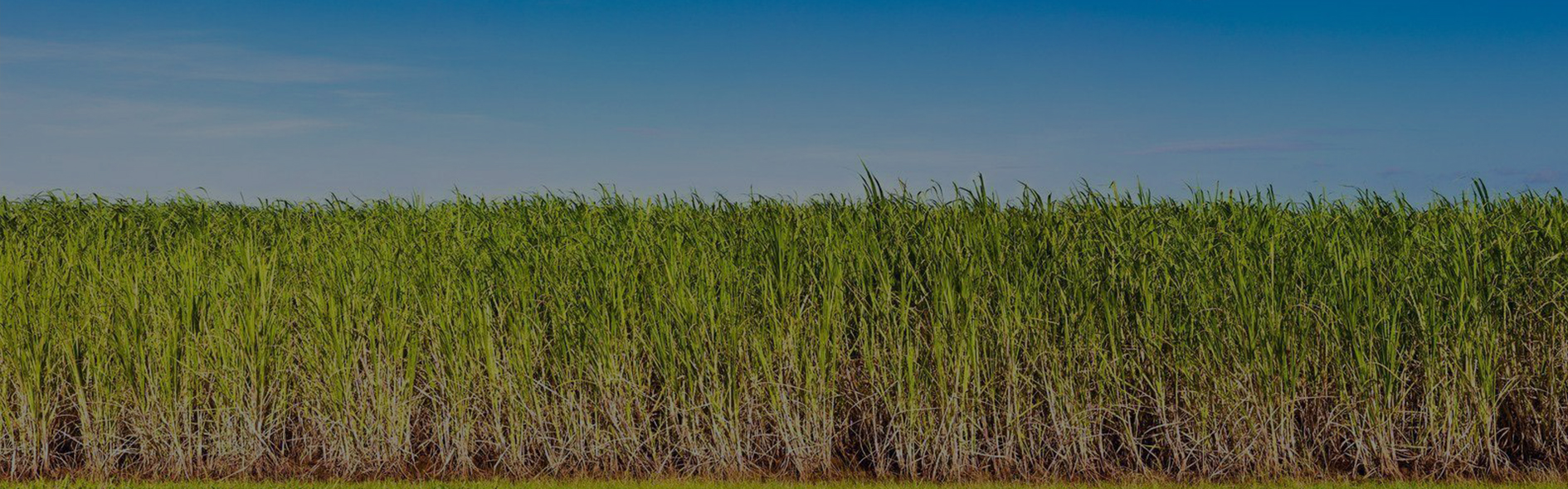 Ecodisan A.Ş - İthalat İhracat  ve Güneş Panelleri Slide