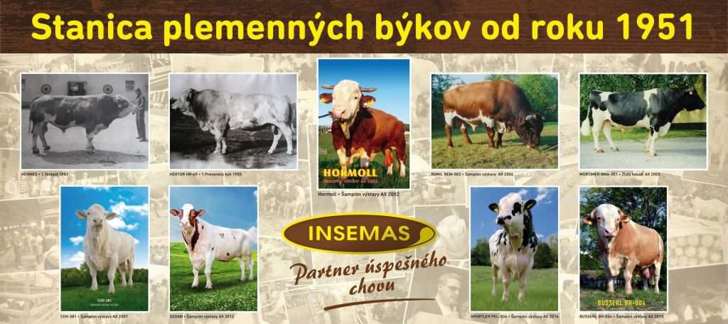 Canlı Hayvan İthalatı slide