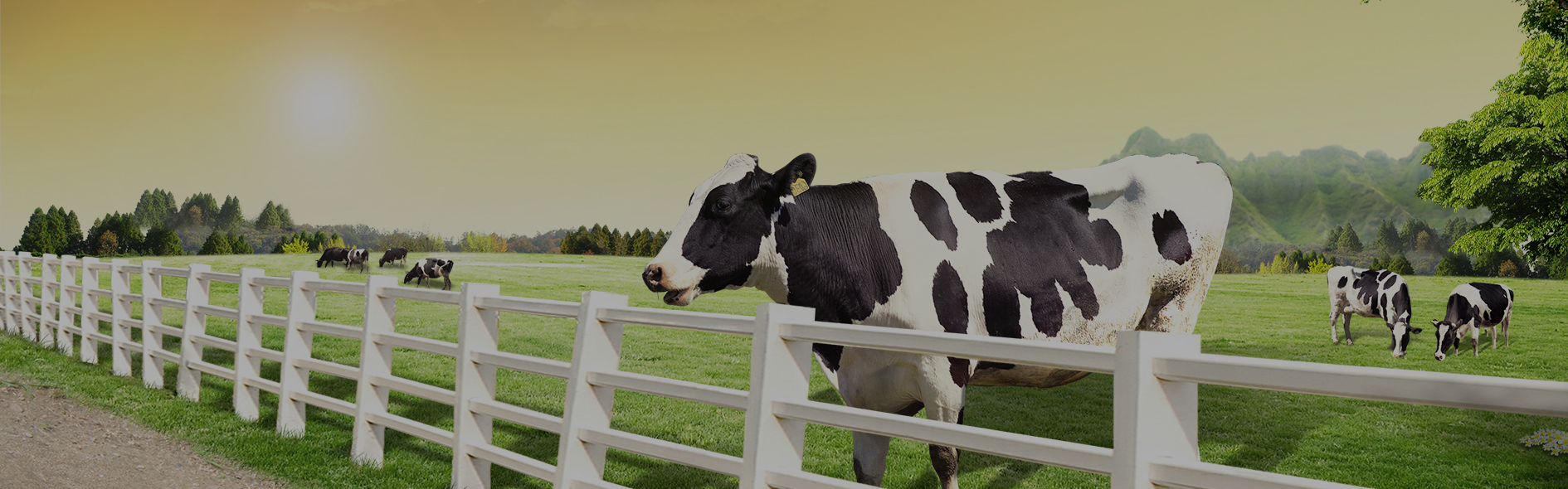 Ecodisan A.Ş - İthalat İhracat  ve Güneş Panelleri Slide